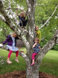 970919_10200604586431440_243949331_n